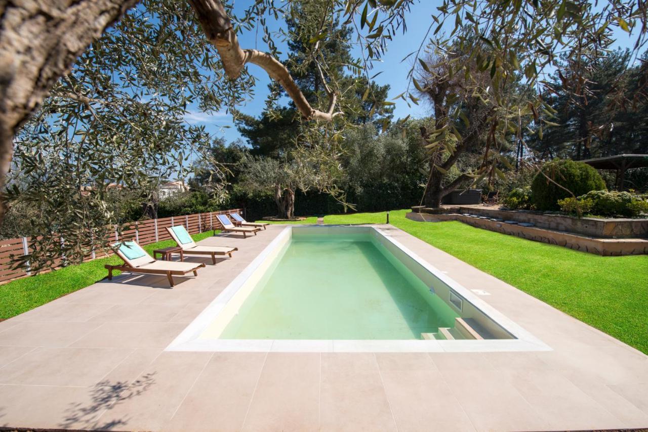 Spyrelia Villa With Private Pool & Outdoor Hot Tub 다시아 외부 사진